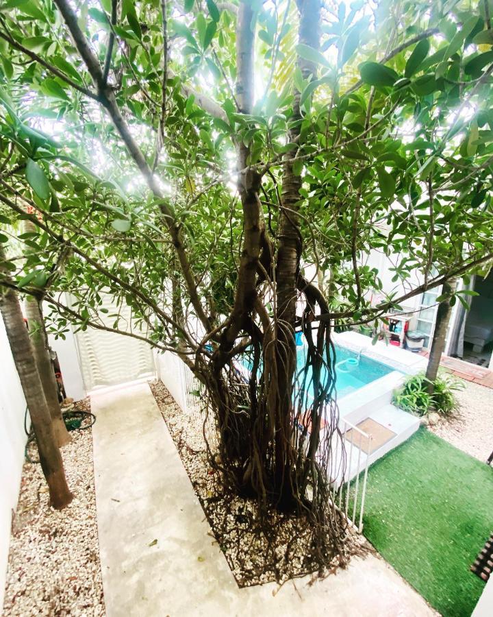Cozy Tiny Studio Acasadialexplayadelcarmen Playa del Carmen Exterior photo
