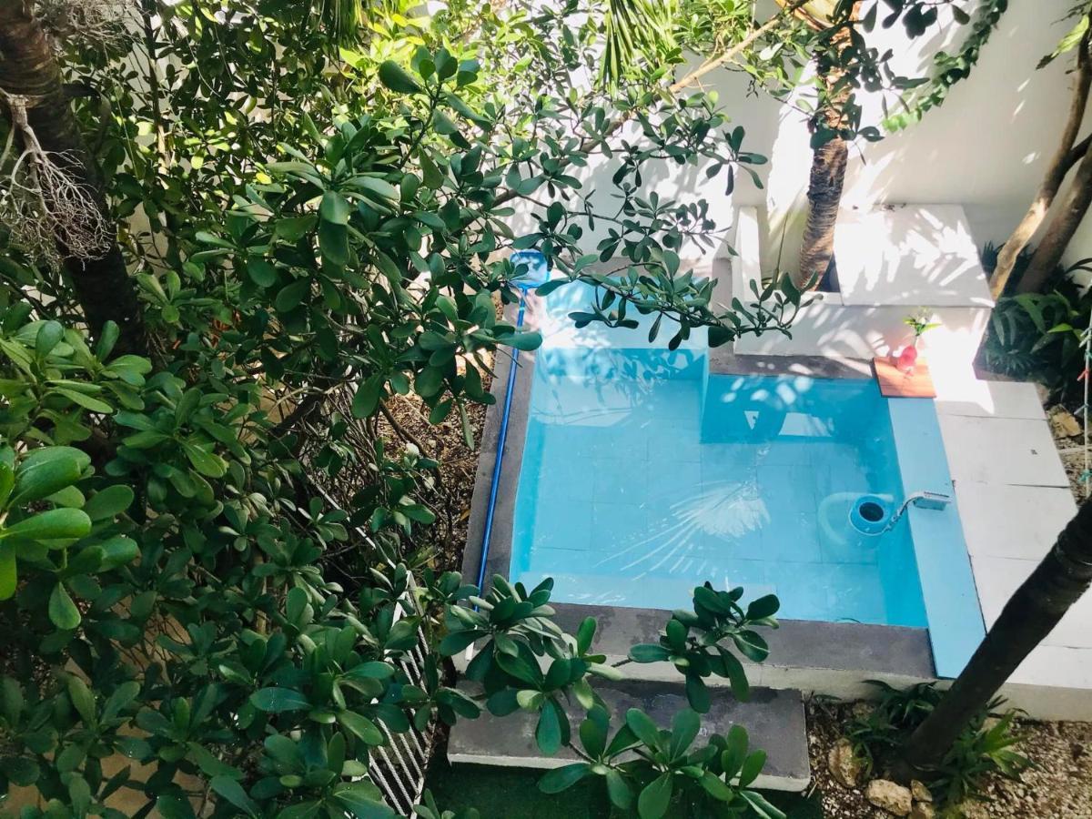 Cozy Tiny Studio Acasadialexplayadelcarmen Playa del Carmen Exterior photo